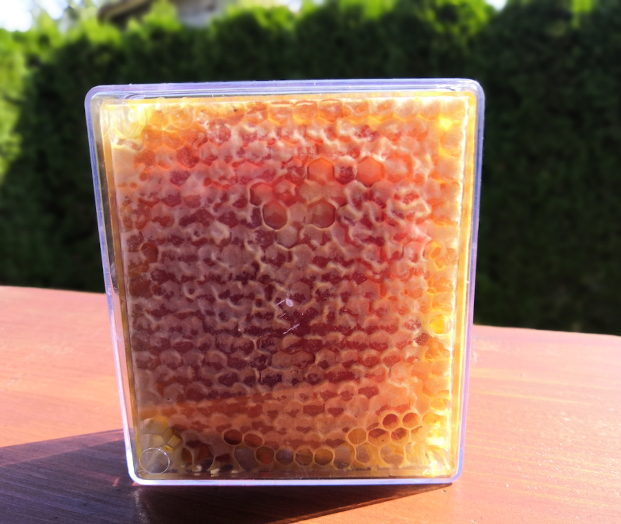 Plástikový med